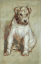 Paul JOUVE (1878-1973) - The dog Betty